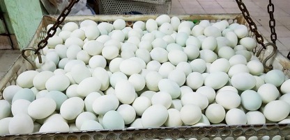 ขายไข่เค็มราคาถูก - ณิชากมล ไข่สด (ขายส่งไข่ไก่ ประชาอุทิศ)