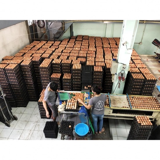 ณิชากมล ไข่สด (ขายส่งไข่ไก่ ประชาอุทิศ) - ร้านขายไข่ไก่กรุงเทพ