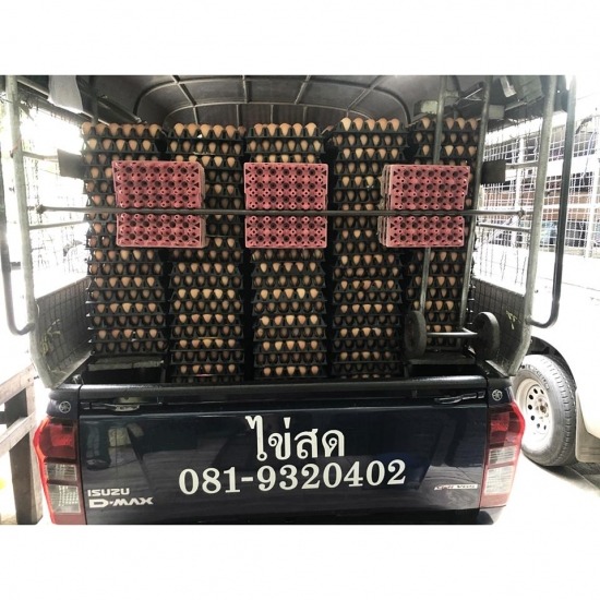 ขายส่งไข่ไก่จากฟาร์ม ขายส่งไข่ไก่จากฟาร์ม แนะนำร้านขายไข่ไก่ ร้านขายไข่ไก่  ฟาร์มไข่ไก่ ใกล้ฉัน  ขายส่งไข่ไก่ ใกล้ฉัน  รับไข่ไก่จากฟาร์ม  ร้านขายไข่ไก่ราคาส่ง  ไข่ไก่ราคาส่ง ใกล้ฉัน 