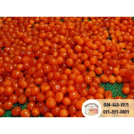 ณิชากมลไข่สด-พรชัย บุญส่งฟาร์ม (ขายส่งไข่ไก่) - ร้านขายไข่แดงเค็ม